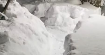 Pani Jola wyszła na ogród. Te obrazki zapamięta na długo