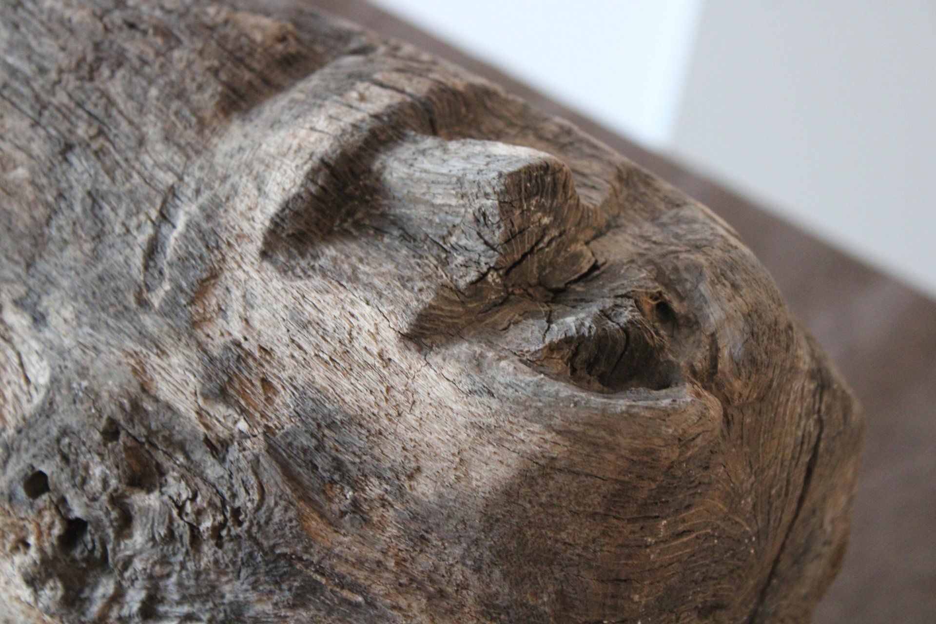 Niezwykłe znalezisko z dna jeziora Lednica! Zobacz, co odkryli podwodni archeolodzy z UMK w Toruniu