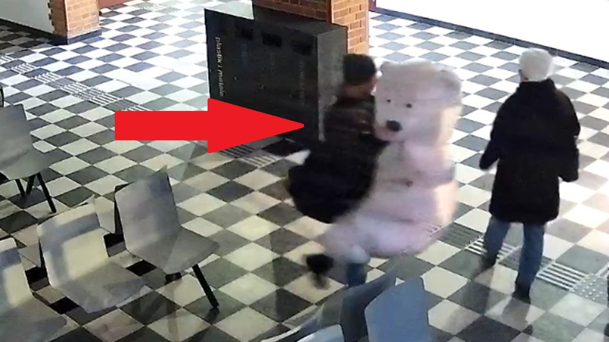 Kradzież misia w Szczecinku.