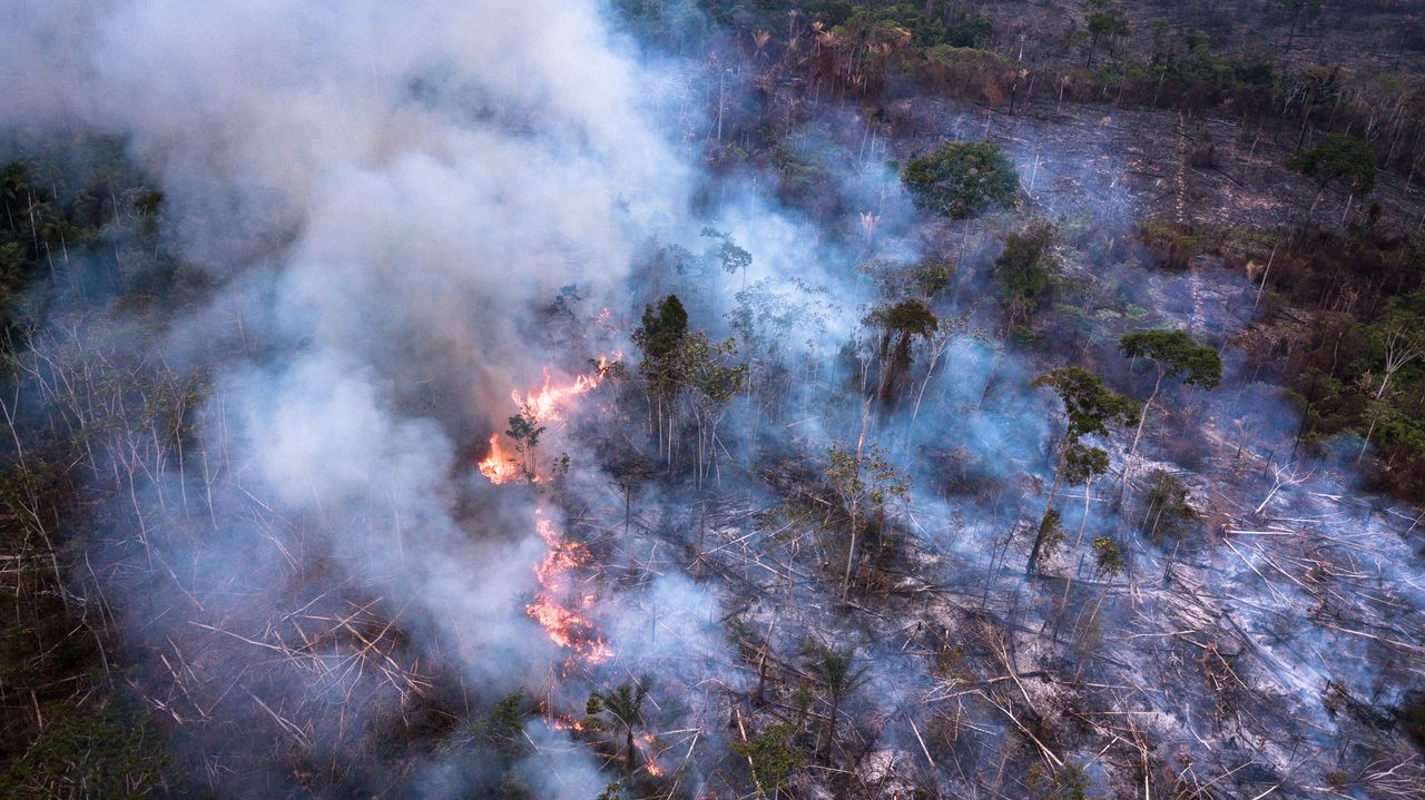 Amazonia trawiona przez pożary w sierpniu ubiegłego roku