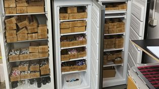 Fabryka anabolików zlikwidowana. Gang zarobił ponad 7,5 mln zł – 8 osób w rękach CBŚP
