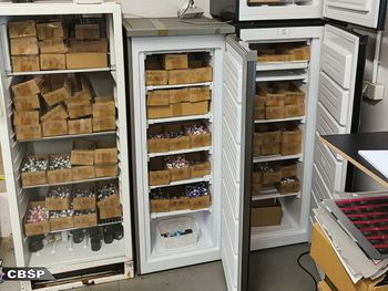 Fabryka anabolików zlikwidowana. Gang zarobił ponad 7,5 mln zł – 8 osób w rękach CBŚP