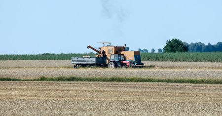 20 tys. zł za cały sezon. Oto zarobki za pracę przy żniwach