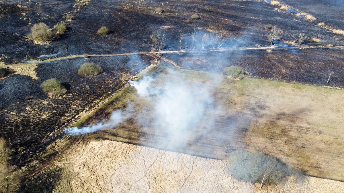 Pożary spowodowane wypalaniem traw