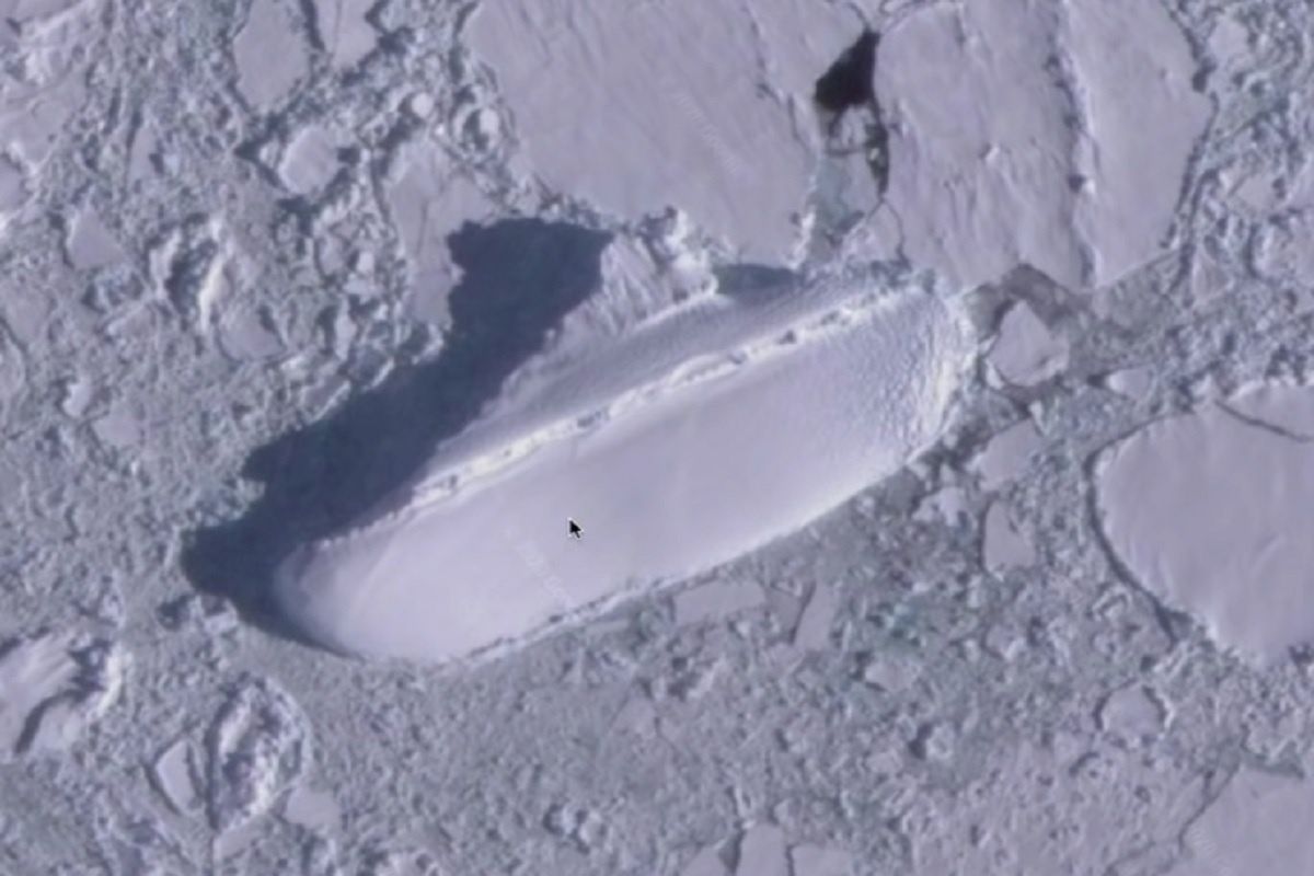 Użytkownik Google Earth odnalazł 130-metrowy "lodowy statek" na Antarktydzie