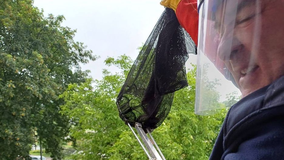 Nietypowego gościa z domu usunęli funkcjonariusze Straży Miejskiej