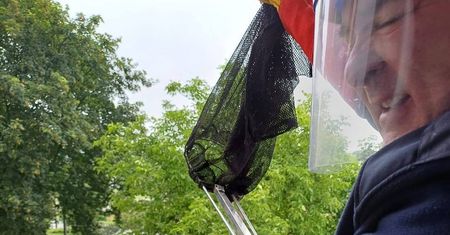 Do sypialni wpadł nietoperz, nie chciał opuścić mieszkania. Kobieta spała dwie noce w przedpokoju