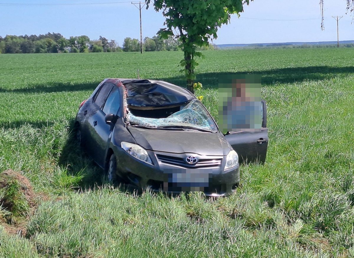 Lubelskie: Zderzenie osobówki z jeleniem. Jedna osoba w szpitalu