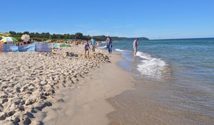 Zakazane na plaży. Nawet 1500 zł mandatu