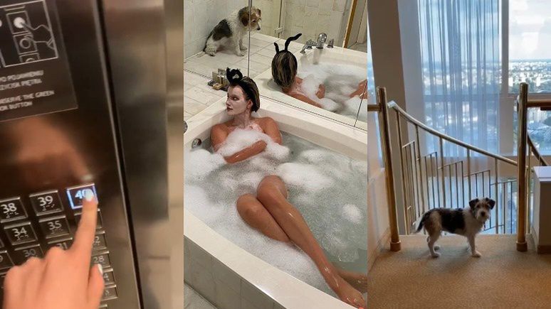 Luksusowa "banicja" Zofii Zborowskiej