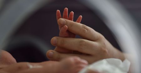 Powiedziała, że znalazła dziecko w lesie. Szokujące ustalenia