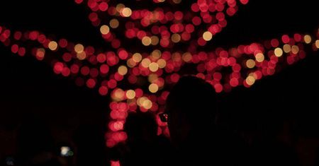 Noc Kultury 2017 w Lublinie. Ruszyła rezerwacja bezpłatnych wejściówek na wydarzenia [LISTA]
