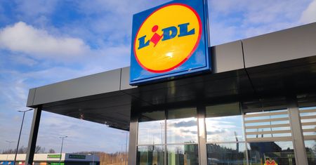 Od 12 marca w Lidlu. 2,99 zł za sztukę i nie ma limitu