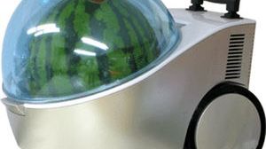 Zadbaj o swojego arbuza! 1