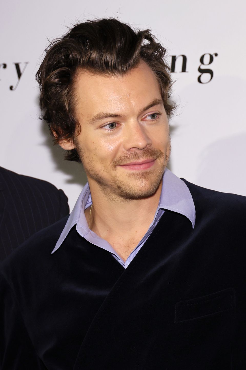 Harry Styles