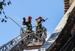 Warszawa. Nagi mężczyzna wszedł na drzewo. "Był bardzo pogodnie nastawiony"