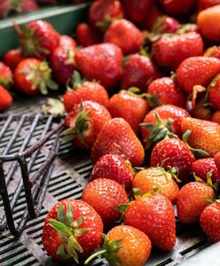 Zmiany na stoiskach z owcami i warzywami. Wchodzą w życie 1 stycznia