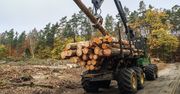 Branża drzewna bije na alarm. Nowe przepisy będą słono kosztować