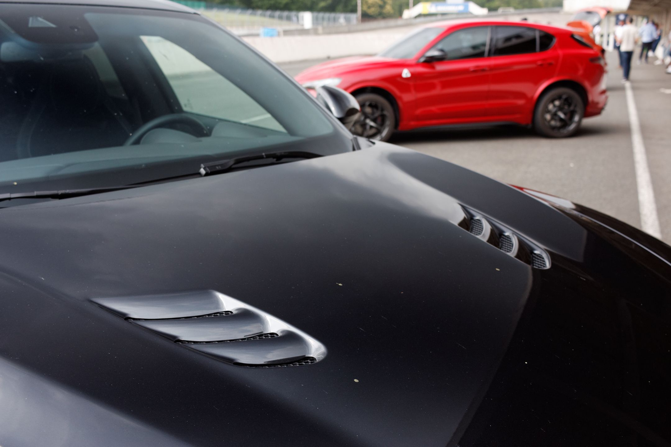 Alfa Romeo Stelvio Quadrifoglio