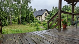 Taras śliski po deszczu? Tak usuniesz zielony nalot bez uszkodzeń