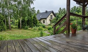 Taras śliski po deszczu? Tak usuniesz zielony nalot bez uszkodzeń