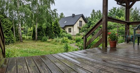Taras śliski po deszczu? Tak usuniesz zielony nalot bez uszkodzeń