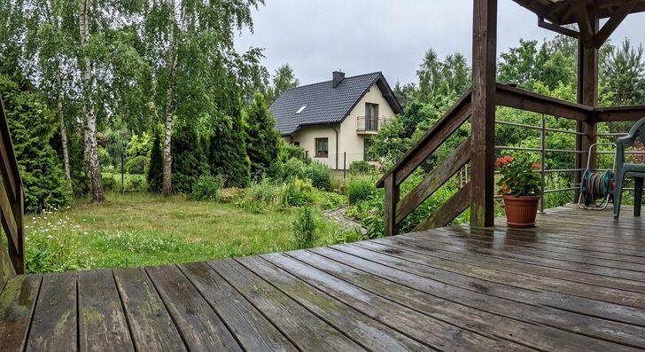 Taras śliski po deszczu? Tak usuniesz zielony nalot bez uszkodzeń
