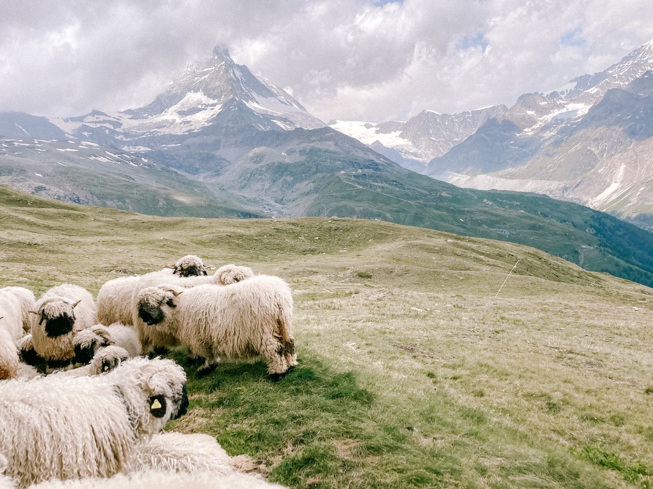 Okolice Zermatt zapierają dech w piersiach