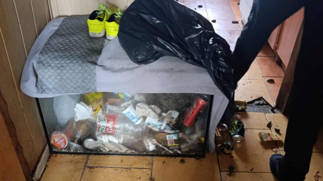 Horror psów w mieszkaniu