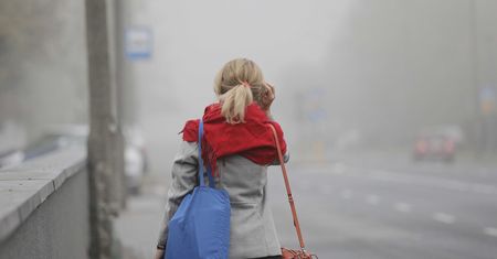 Pogoda. Warszawa. Wtorek 20 października. Kierowcy powinni uważać na mgłę