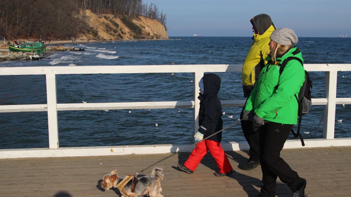 Opiekujesz się cudzym czworonogiem? Jeśli go nie dopilnujesz, to ty, a nie właściciel, zapłacisz mandat 