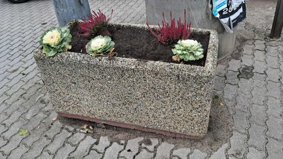 Zdjęcie Urzędu Miejskiego w Pułtusku