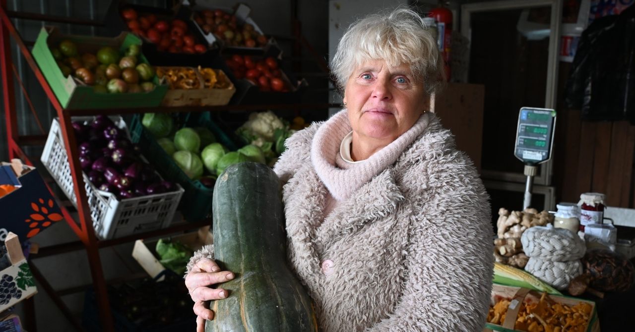 Wrocław: Dyniowe szaleństwo na targowiskach. Gdzie najtaniej?