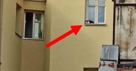 Nie miał szans. Internauci oburzeni tym, co się stało we Wrocławiu