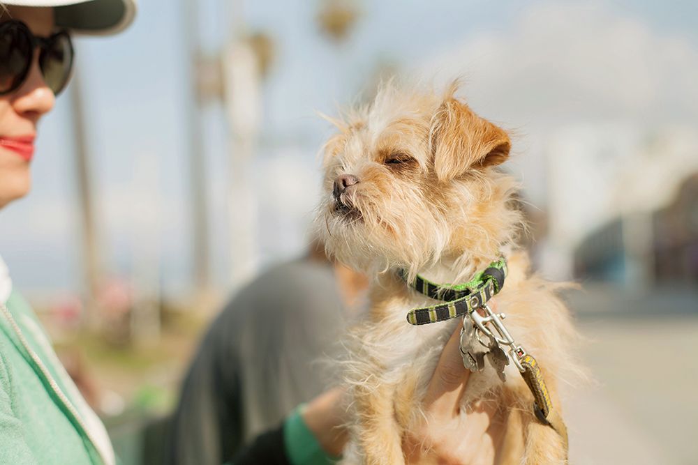 „Americana” Garroda Kirkwooda to minimalistyczny obraz wyluzowanej Kalifornii 5