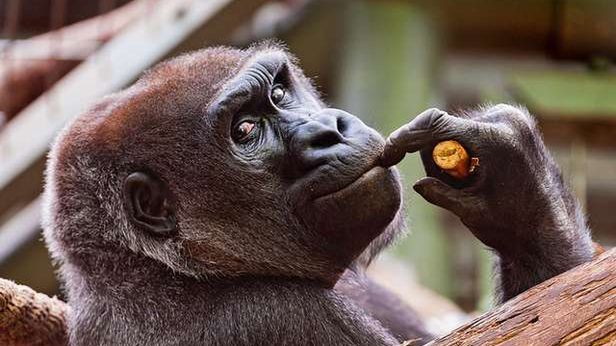 Gdy Allegro zaczyna wyglądać jak eBay, wiedz, że coś się dzieje… 1