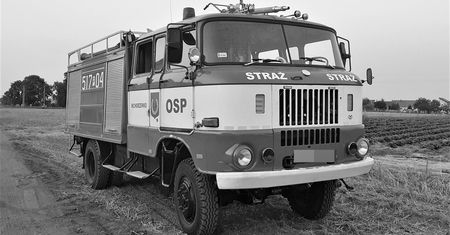 Tragedia w Gogołowie. Osa zabiła strażaka