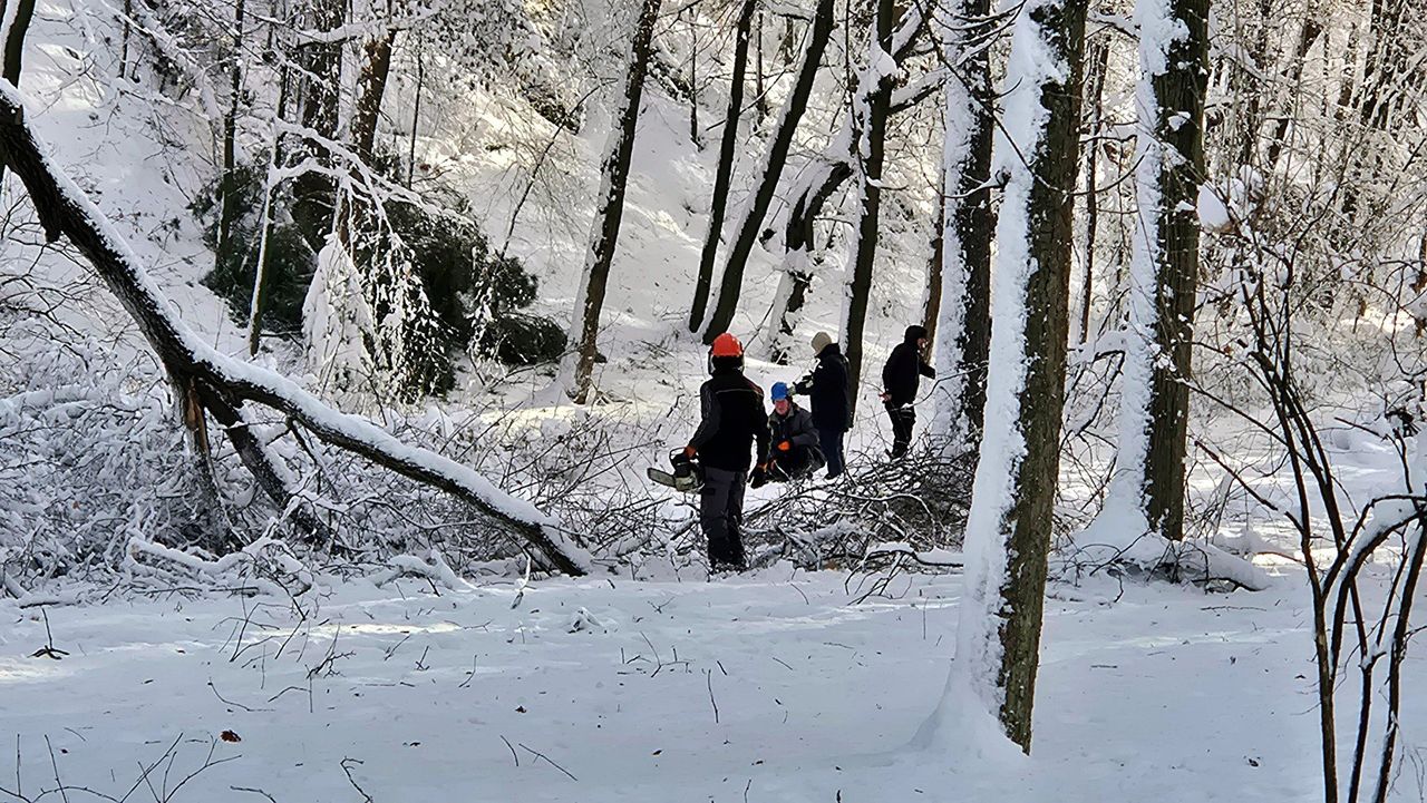 Gorlice: Usuwanie szkód w parku miejskim. Potężne opady mokrego śniegu zrobiły swoje, teraz dokłada się jeszcze wiatr