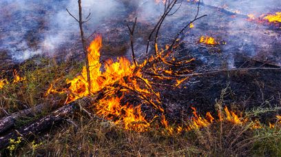 Pożary męczą Chorwację. Turyści muszą uciekać z hoteli