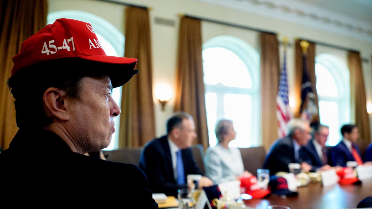 Elon Musk podczas posiedzenia gabinetu w Białym Domu