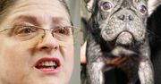 Krystyna Pawłowicz broni pseudohodowli buldogów swojej koleżanki? Miała wysłać list do prokuratury...