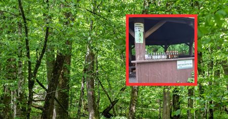 Tabliczki nie pomogły. Leśnicy pokazali, co zostawili ludzie