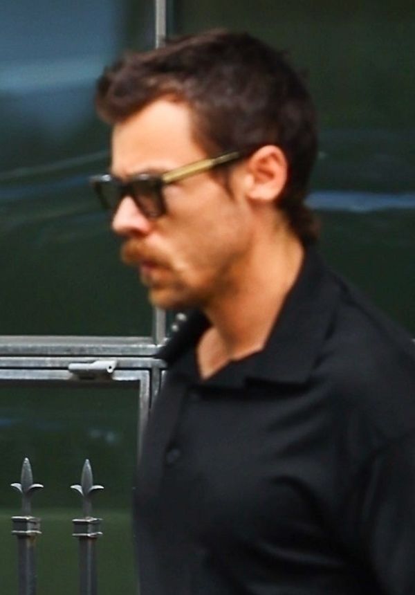 Harry Styles spędził noc w willi Zoe Kravitz