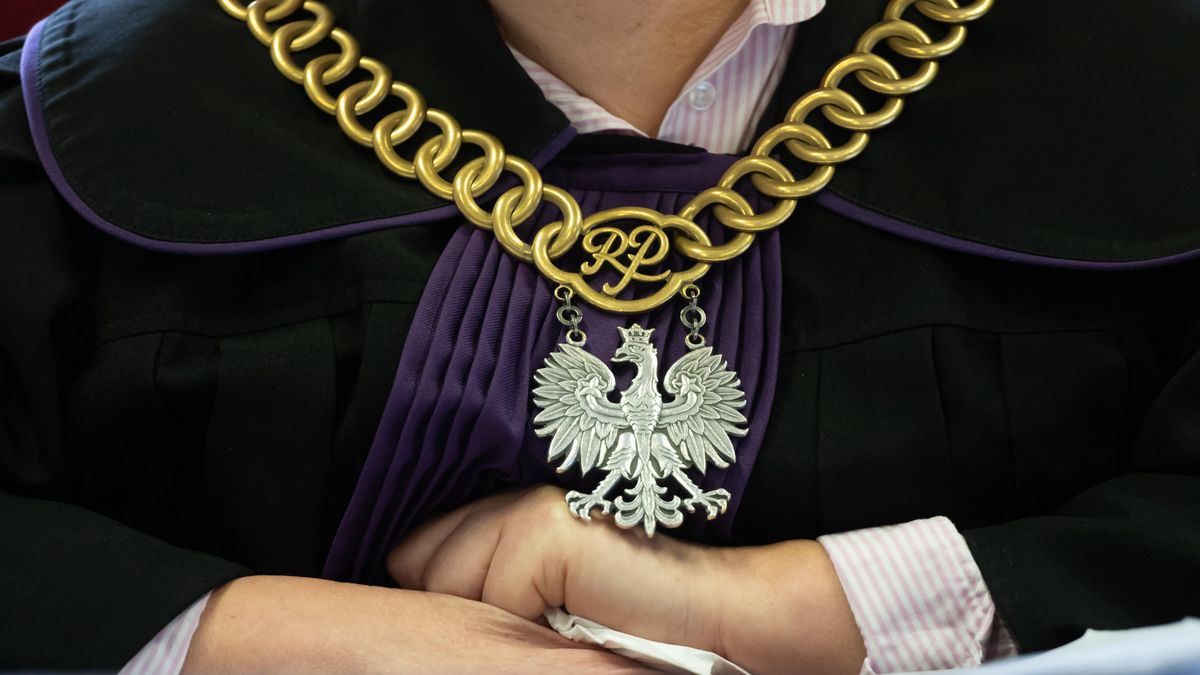 s�dziaPozna�, 02.02.2026. S�dzia na sali S�du Okr�gowego w Poznaniu, 2 bm. Zako�czy� si� proces Macieja Maciejewskiego, oskar�onego ��cznie o 19 przest�pstw, w tym zn�cania si� nad zwierz�tami, podrabiania dokument�w, przyw�aszczenia zwierz�cia, naruszania praw pracowniczych i naruszenia przepis�w prawa Unii Europejskiej dotycz�cych ochrony gatunk�w dziko �yj�cych zwierz�t w zakresie regulacji obrotu nimi. (jk/mgut) PAP/Jakub Kaczmarczyk *** UWAGA!!! JEST ZGODA NA PUBLIKACJ� WIZERUNKU I DANYCH OSOBOWYCH OSKAR�ONEGO! ***Jakub Kaczmarczykdzikie, handel, hodowla zwierz�t, nieudomowione, obr�t, orze� �a�cuch, proces, Pysz�ca, rozprawa, s�d, s�d okr�gowy, sprawa, zwierz�t, zwierz�tami, zwierz�t chronionych