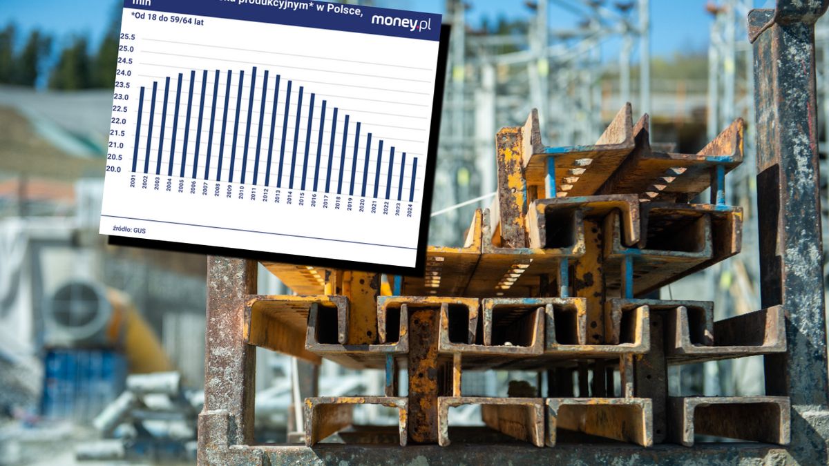 W Polsce od kilkunastu lat ubywa osób w wieku produkcyjnym, ale 