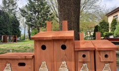 Będzin. Zadbali o ptaki. Na terenie miasta zawisło 80 budek lęgowych