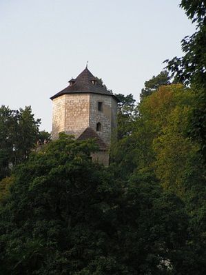 Obraz