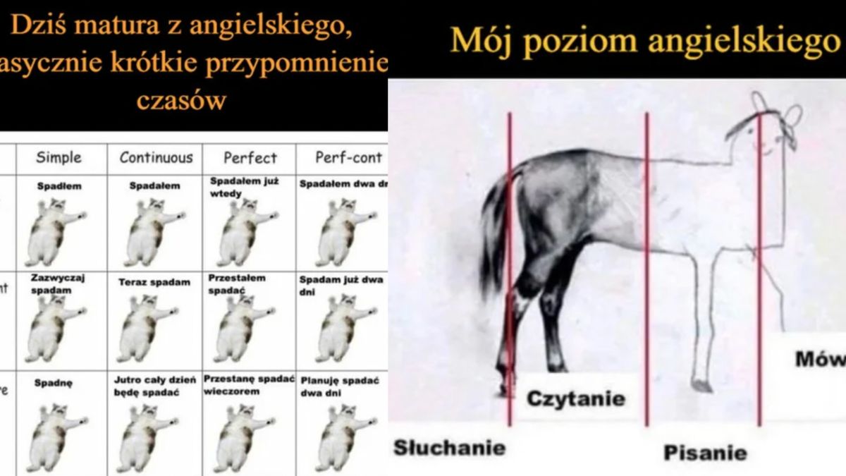 Memy matura 2025 z języka angielskiego