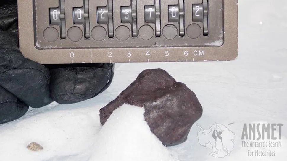 Meteoryt (chondryt) odnaleziony w Antarktydzie