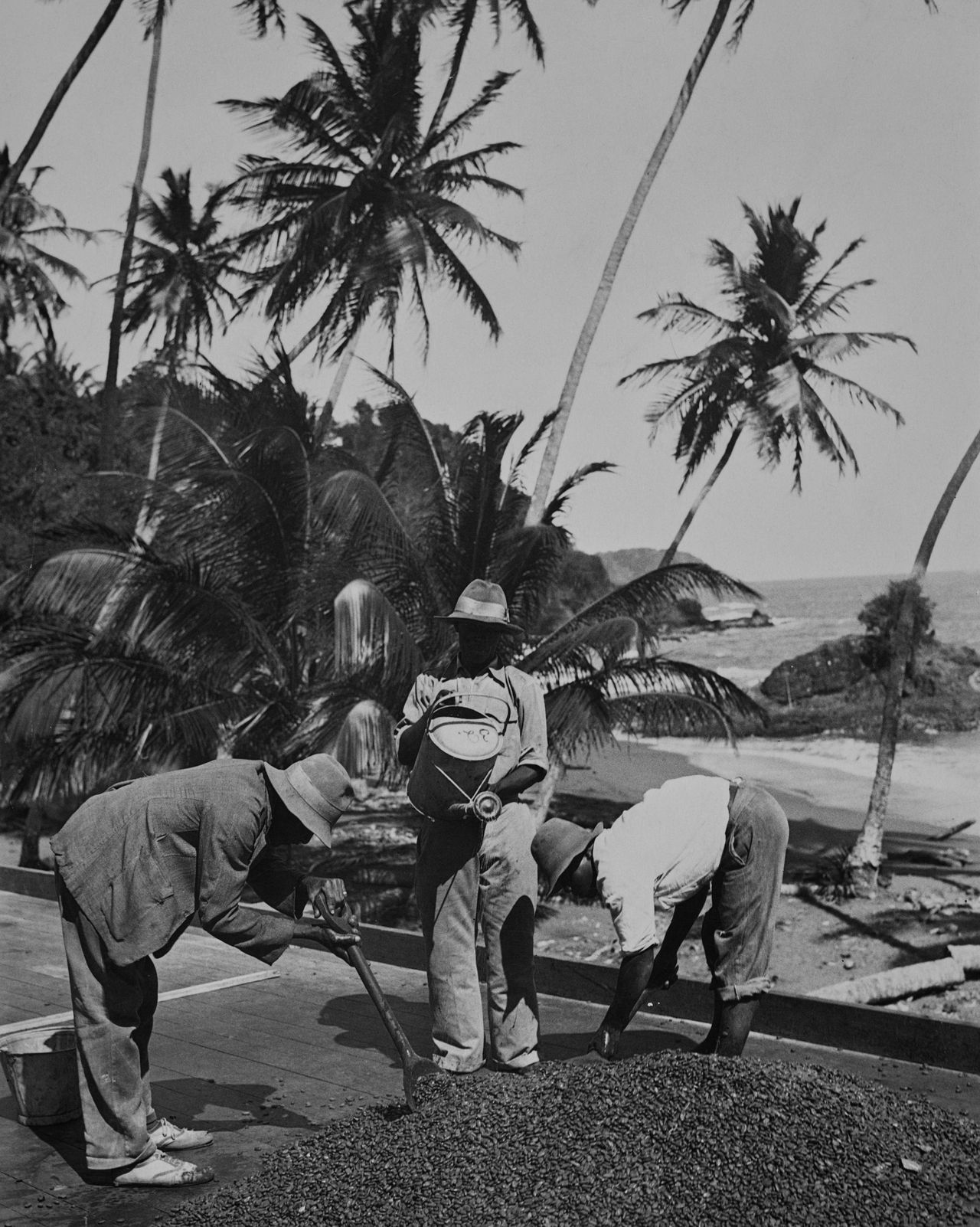 Two men work with shovels, with a third man standing with a watering can as they prepare cocoa beans on Tobago, Trinidad and Tobago, circa 1935. Tobago is the southernmost island in the Caribbean. (Photo by Fox Photos/Hulton Archive/Getty Images)